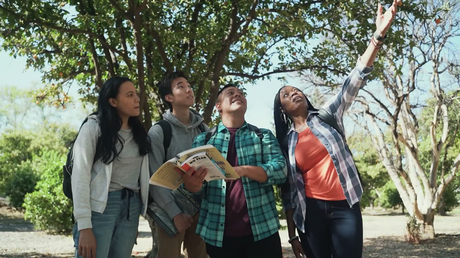 College students walking together on campus